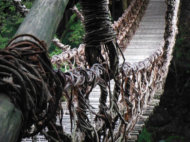Amazing vine bridge.