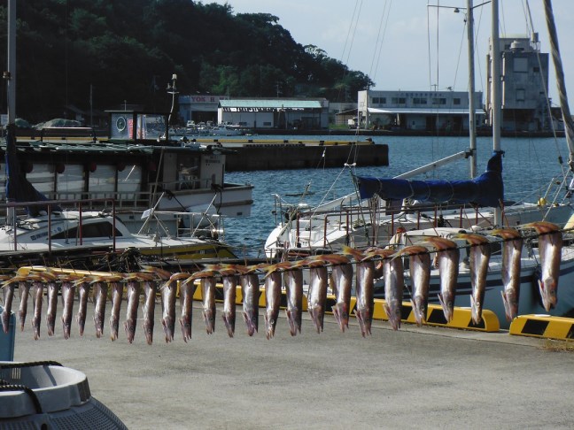 Lots of little harbours and fishing villages.